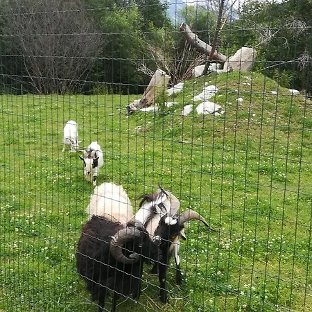 티슐뮐레 아파트먼트&메어 아파트 *