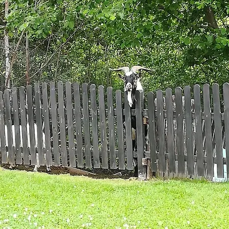 티슐뮐레 아파트먼트&메어 아파트