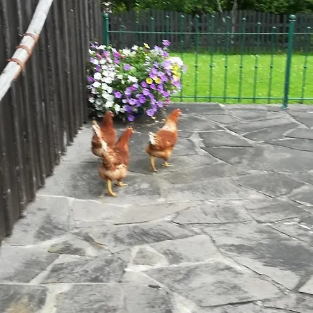 Tischlmuehle & Mehr Lejlighed