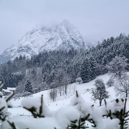 Lejlighed Tischlmuehle & Mehr