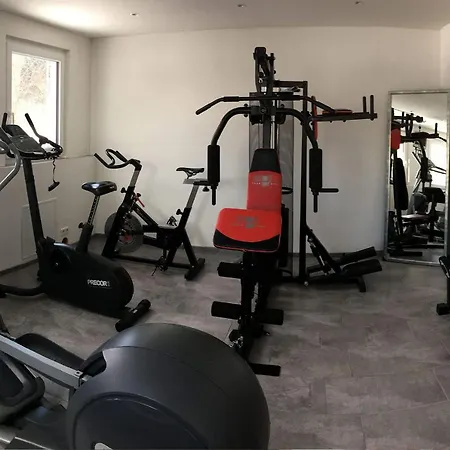 Tischlmuehle & Mehr Lejlighed *