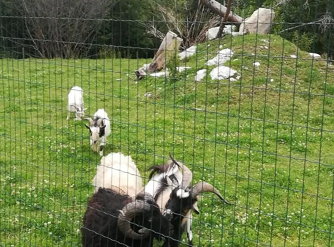 Tischlmuehle & Mehr Appartement *