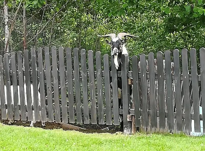 Tischlmühle Appartements&mehr Apartment