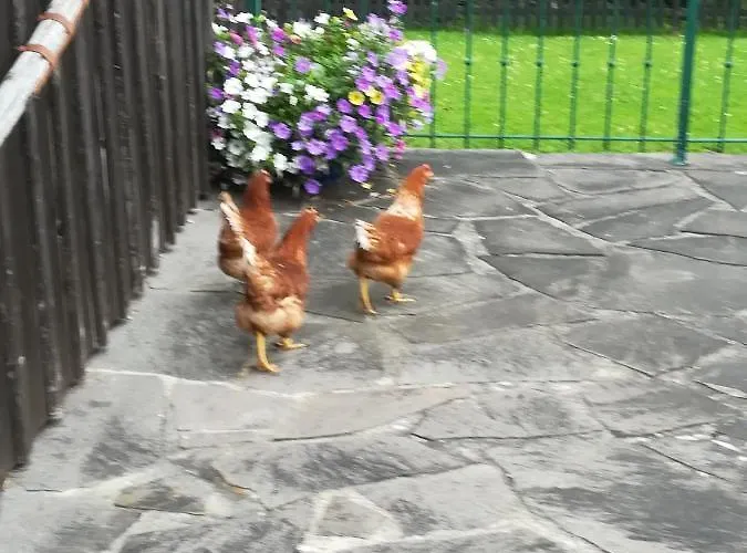 Tischlmuehle & Mehr Appartement