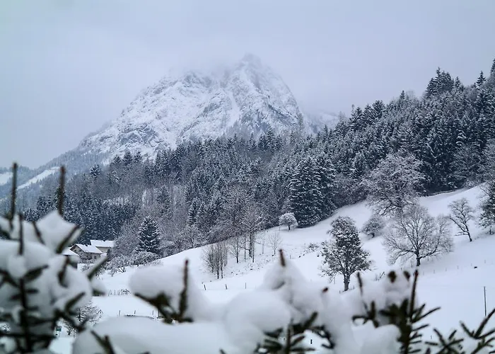 Appartement Tischlmuehle & Mehr